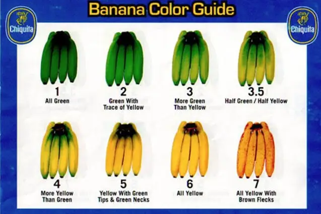 The Chiquita banana color guide